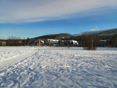 Kış manzarası, panorama, bayrak - kış ormanlarındaki karlı yol manzarası