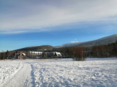Kış manzarası, panorama, bayrak - kış ormanlarındaki karlı yol manzarası