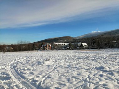 Kış manzarası, panorama, bayrak - kış ormanlarındaki karlı yol manzarası