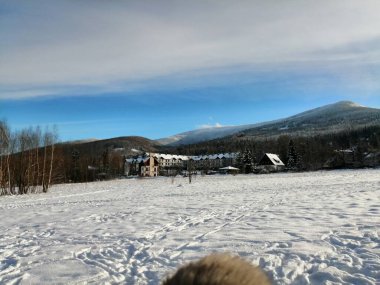Kış manzarası, panorama, bayrak - kış ormanlarındaki karlı yol manzarası