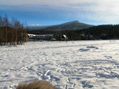 Kış manzarası, panorama, bayrak - kış ormanlarındaki karlı yol manzarası
