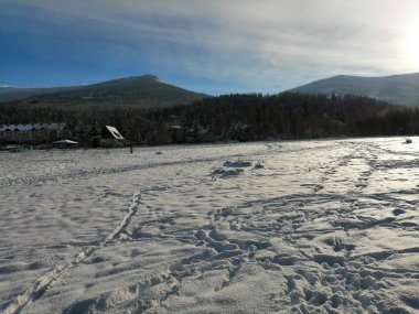 Kış manzarası, panorama, bayrak - kış ormanlarındaki karlı yol manzarası