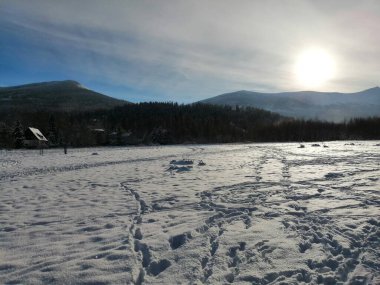 Kış manzarası, panorama, bayrak - kış ormanlarındaki karlı yol manzarası
