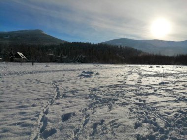 Kış manzarası, panorama, bayrak - kış ormanlarındaki karlı yol manzarası