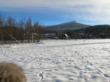 Kış manzarası, panorama, bayrak - kış ormanlarındaki karlı yol manzarası