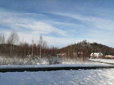 Kış manzarası, panorama, bayrak - kış ormanlarındaki karlı yol manzarası