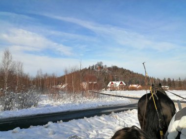 Kış manzarası, panorama, bayrak - kış ormanlarındaki karlı yol manzarası