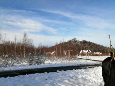 Kış manzarası, panorama, bayrak - kış ormanlarındaki karlı yol manzarası