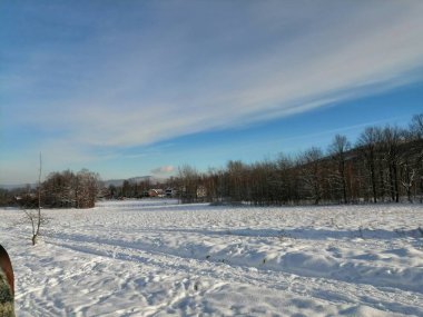 Kış manzarası, panorama, bayrak - kış ormanlarındaki karlı yol manzarası