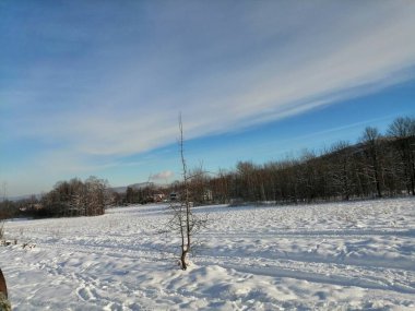 Kış manzarası, panorama, bayrak - kış ormanlarındaki karlı yol manzarası