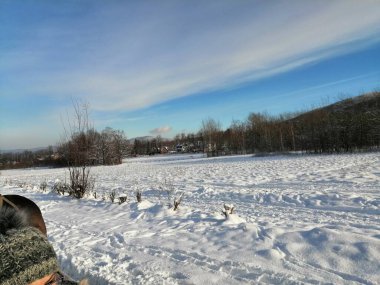 Kış manzarası, panorama, bayrak - kış ormanlarındaki karlı yol manzarası
