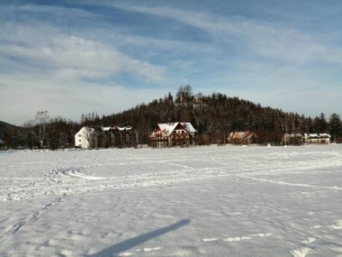 Kış manzarası, panorama, bayrak - kış ormanlarındaki karlı yol manzarası