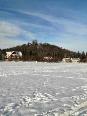 Kış manzarası, panorama, bayrak - kış ormanlarındaki karlı yol manzarası