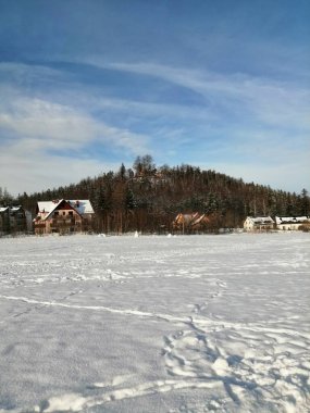 Kış manzarası, panorama, bayrak - kış ormanlarındaki karlı yol manzarası