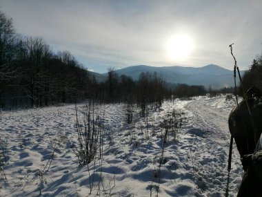 Kış manzarası, panorama, bayrak - kış ormanlarındaki karlı yol manzarası