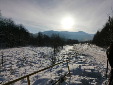 Kış manzarası, panorama, bayrak - kış ormanlarındaki karlı yol manzarası