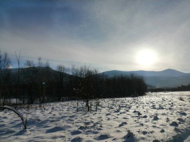 Kış manzarası, panorama, bayrak - kış ormanlarındaki karlı yol manzarası