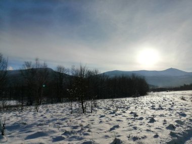 Kış manzarası, panorama, bayrak - kış ormanlarındaki karlı yol manzarası