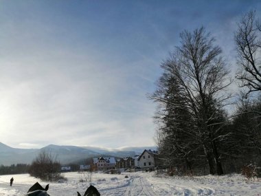 Kış manzarası, panorama, bayrak - kış ormanlarındaki karlı yol manzarası