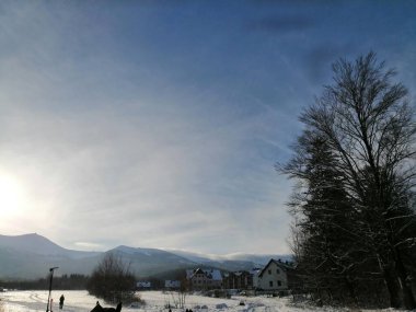 Kış manzarası, panorama, bayrak - kış ormanlarındaki karlı yol manzarası