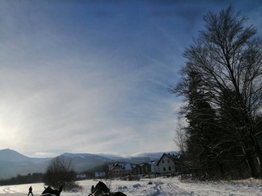 Kış manzarası, panorama, bayrak - kış ormanlarındaki karlı yol manzarası