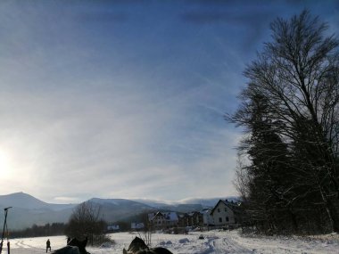 Kış manzarası, panorama, bayrak - kış ormanlarındaki karlı yol manzarası