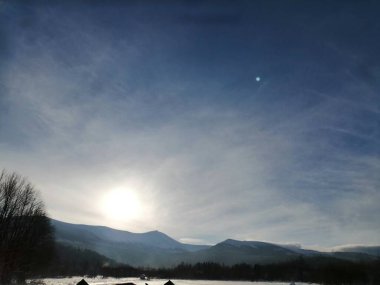 Kış manzarası, panorama, bayrak - kış ormanlarındaki karlı yol manzarası
