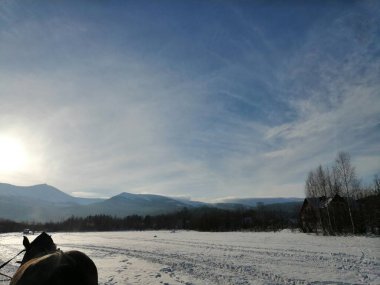 Kış manzarası, panorama, bayrak - kış ormanlarındaki karlı yol manzarası