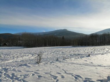 Kış manzarası, panorama, bayrak - kış ormanlarındaki karlı yol manzarası