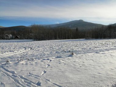 Kış manzarası, panorama, bayrak - kış ormanlarındaki karlı yol manzarası