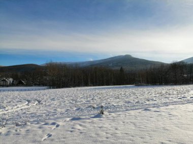 Kış manzarası, panorama, bayrak - kış ormanlarındaki karlı yol manzarası