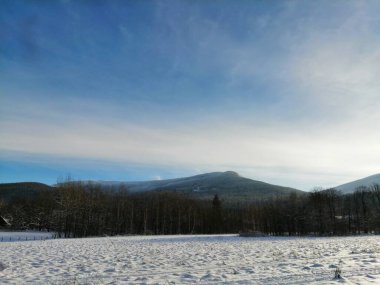 Kış manzarası, panorama, bayrak - kış ormanlarındaki karlı yol manzarası