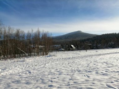 Kış manzarası, panorama, bayrak - kış ormanlarındaki karlı yol manzarası