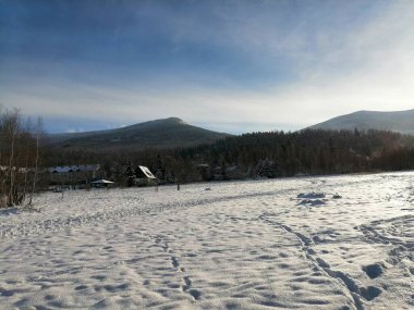 Kış manzarası, panorama, bayrak - kış ormanlarındaki karlı yol manzarası