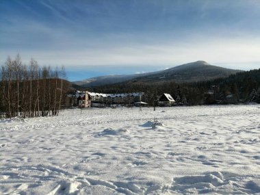 Kış manzarası, panorama, bayrak - kış ormanlarındaki karlı yol manzarası