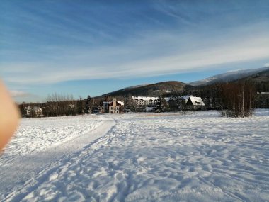 Kış manzarası, panorama, bayrak - kış ormanlarındaki karlı yol manzarası