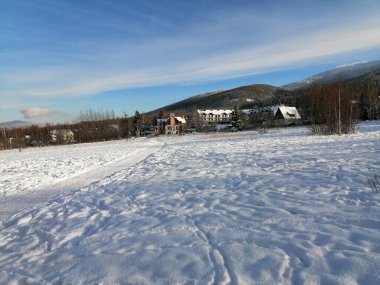 Kış manzarası, panorama, bayrak - kış ormanlarındaki karlı yol manzarası