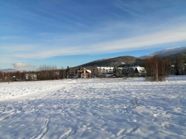 Kış manzarası, panorama, bayrak - kış ormanlarındaki karlı yol manzarası