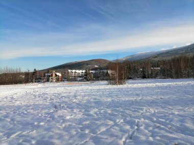 Kış manzarası, panorama, bayrak - kış ormanlarındaki karlı yol manzarası