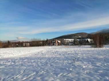 Kış manzarası, panorama, bayrak - kış ormanlarındaki karlı yol manzarası