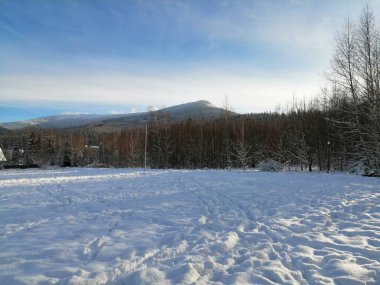 Kış manzarası, panorama, bayrak - kış ormanlarındaki karlı yol manzarası