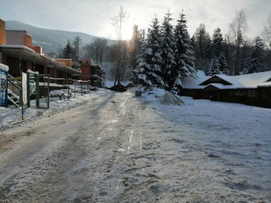 Kış manzarası, panorama, bayrak - kış ormanlarındaki karlı yol manzarası