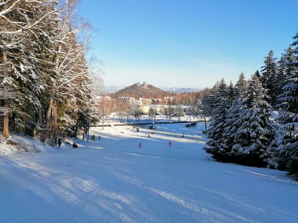 Winterlandschap Panorama Banner Uitzicht Besneeuwde Weg Het Winterbergbos — Stockfoto