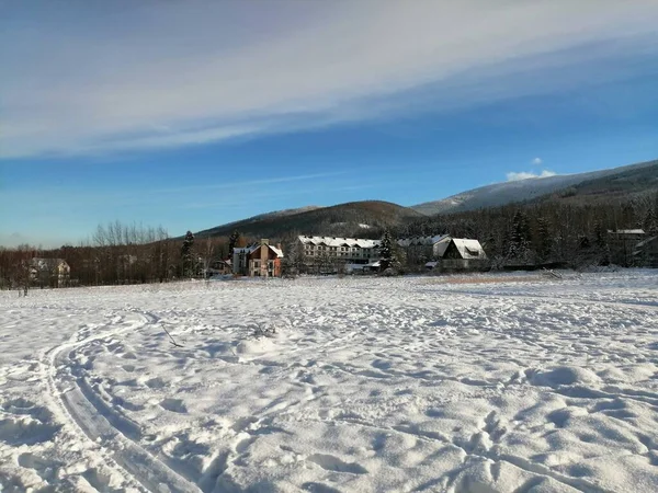 Kış manzarası, panorama, bayrak - kış ormanlarındaki karlı yol manzarası