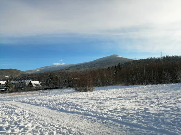 Kış manzarası, panorama, bayrak - kış ormanlarındaki karlı yol manzarası