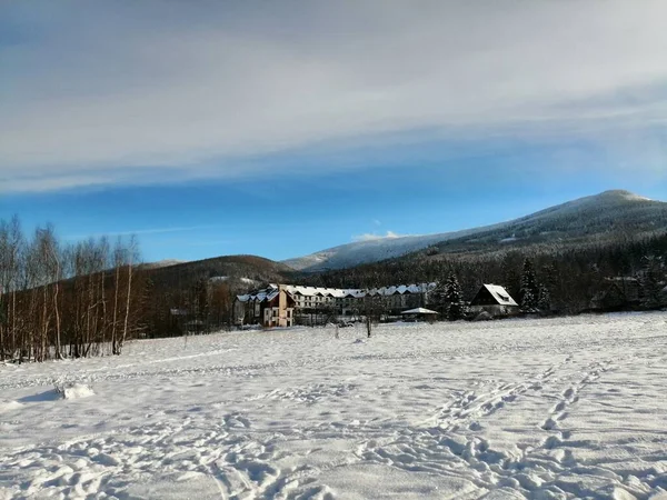 Kış manzarası, panorama, bayrak - kış ormanlarındaki karlı yol manzarası