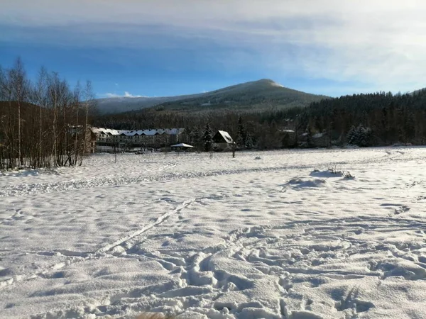 Kış manzarası, panorama, bayrak - kış ormanlarındaki karlı yol manzarası