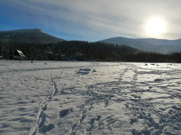 Kış manzarası, panorama, bayrak - kış ormanlarındaki karlı yol manzarası