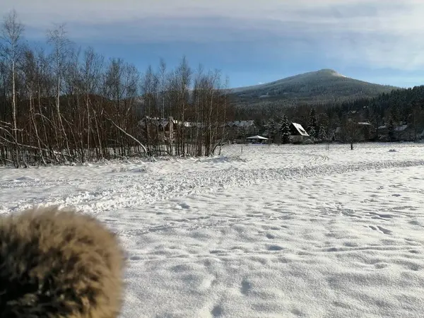 Зимний Пейзаж Панорама Баннер Вид Снежную Дорогу Зимнем Горном Лесу — стоковое фото