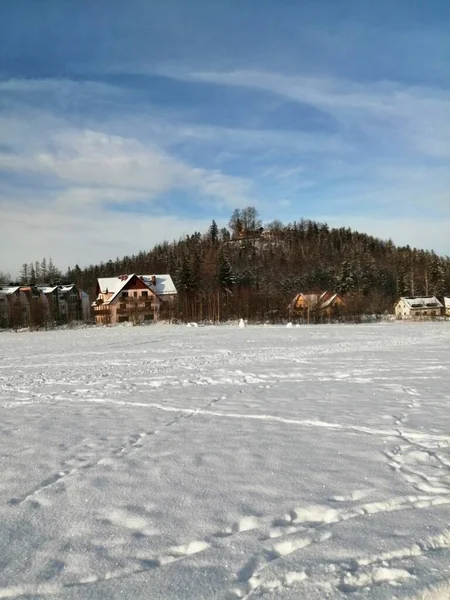 Zimowy Krajobraz Panorama Sztandar Widok Zaśnieżoną Drogę Zimowym Lesie Górskim — Zdjęcie stockowe